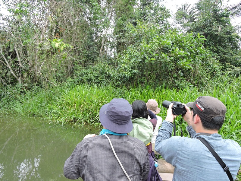 Rainforest photography tips for wildlife in low light